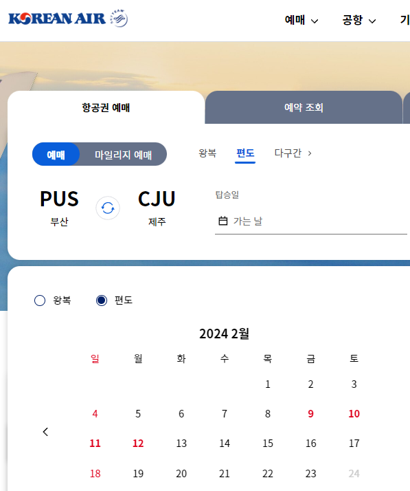 대한항공-부산-제주-노선-1년뒤-항공권-예약-조회