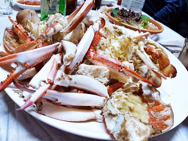 6시내고향 홍성 남당항 새조개 샤부샤부 전국 택배 주문 구매 가능 쭈꾸미 해산물 맛집 오늘 방송 추천