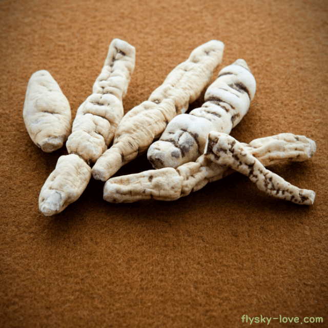 여성 건강 갱년기 증상에 효과적인 백수오