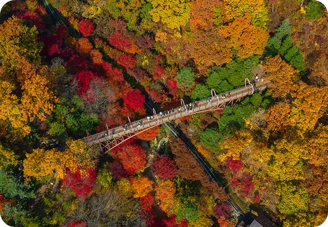 화담숲 이미지/출처: 화담숲 홈페이지