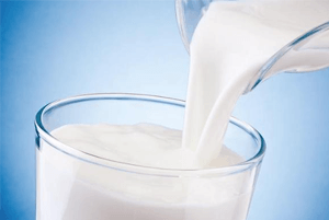 골다공증에 좋은 음식13