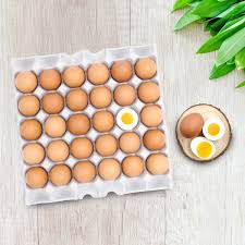 반숙 계란 삶는 시간