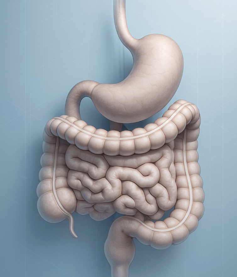 목표 1 : 변비 탈출&amp;#44; 장 청소의 신호탄