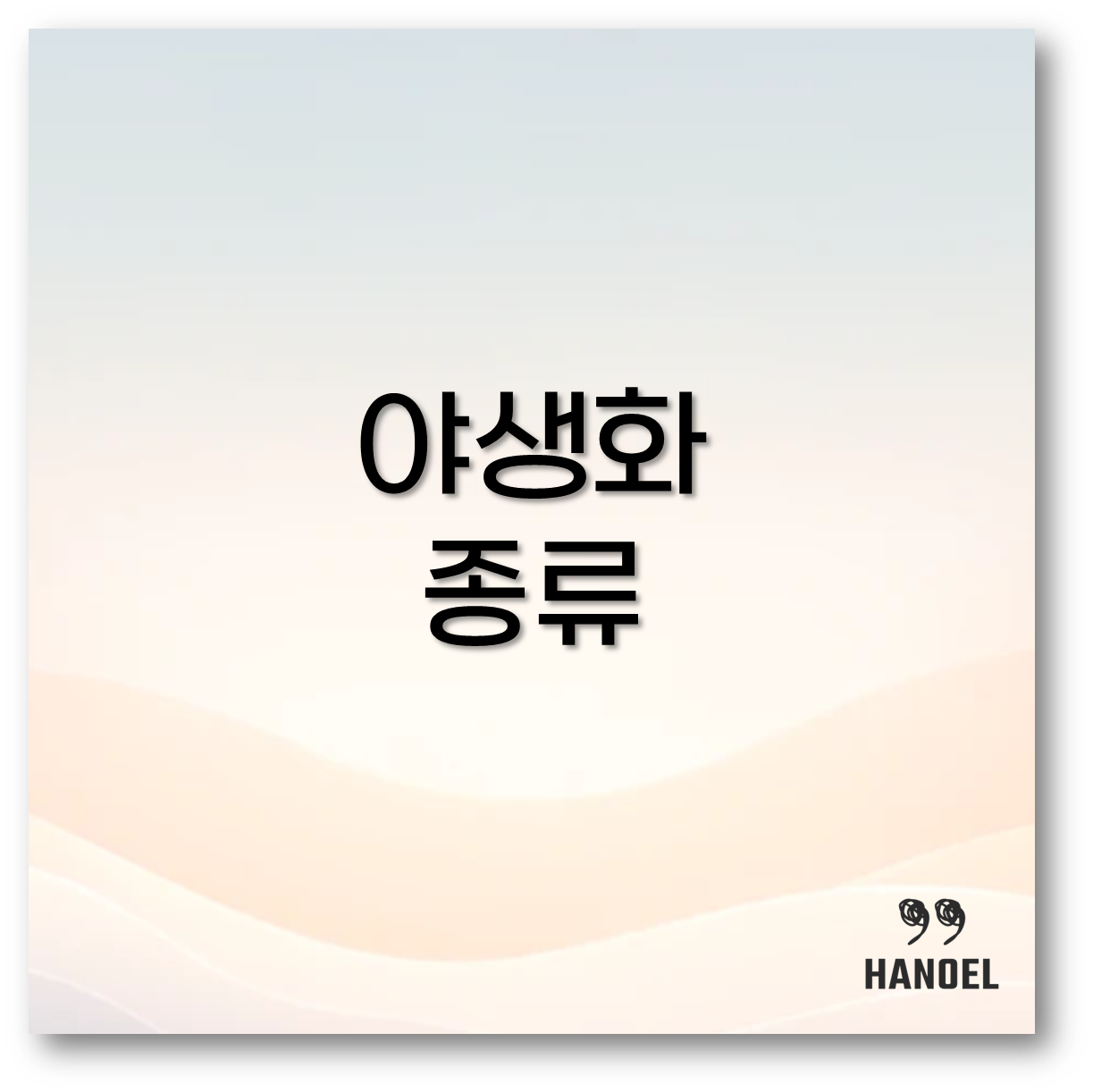 야생화 종류