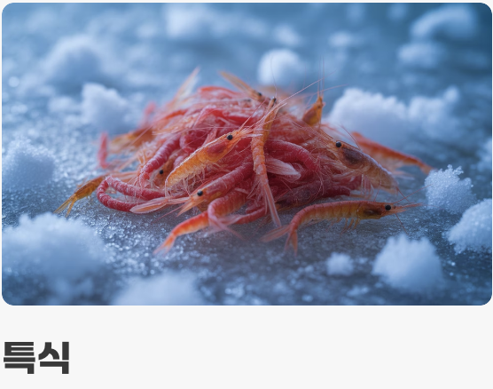 먹이 - 가리지 않는 &amp;#39;튼튼한 식성&amp;#39;