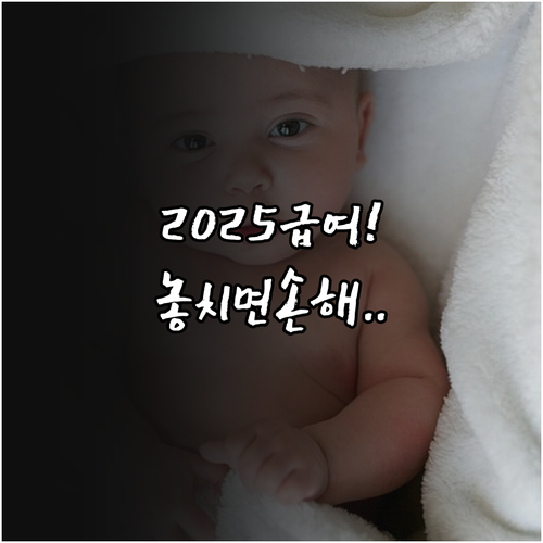 2025년 출산휴가 급여 상한액 조정..