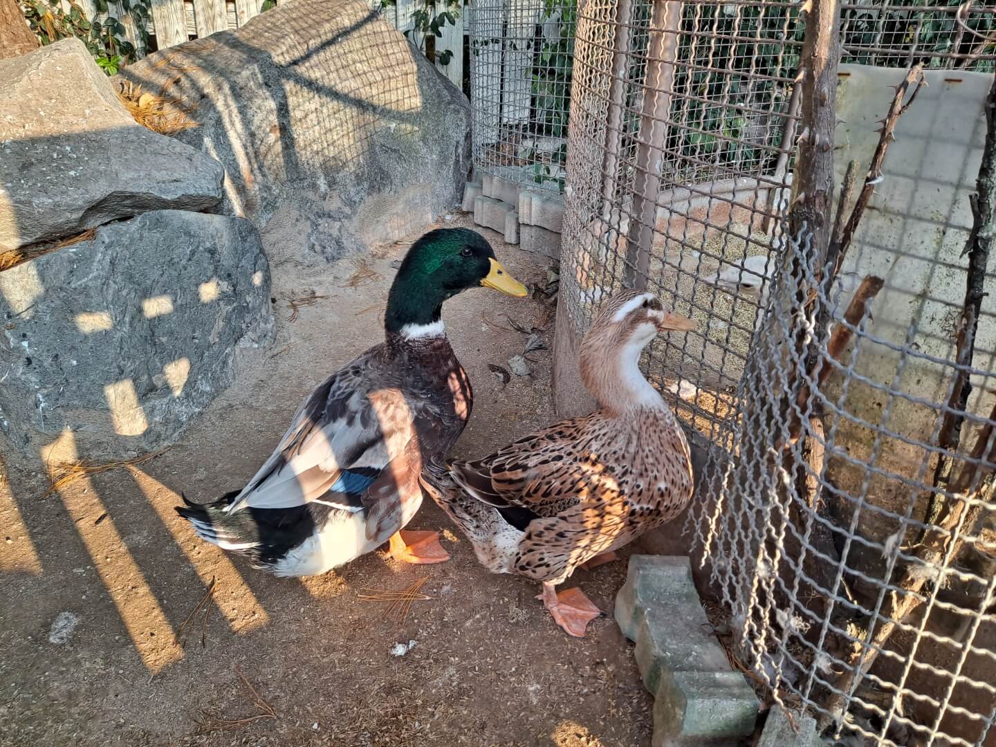 용인 가볼만한곳 곤충테마파크