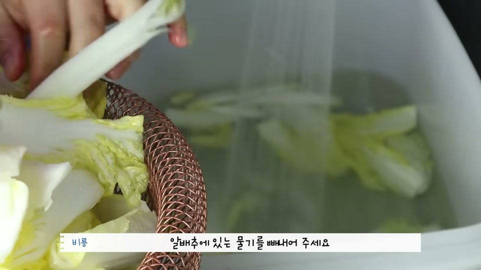 절인 배추를 찬물에 헹구는 장면