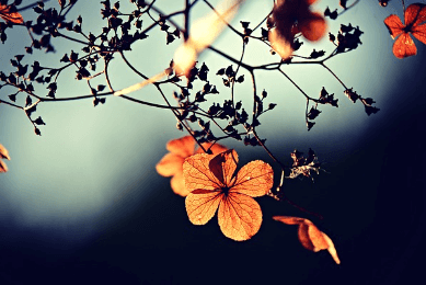 9월 인사말 모음집