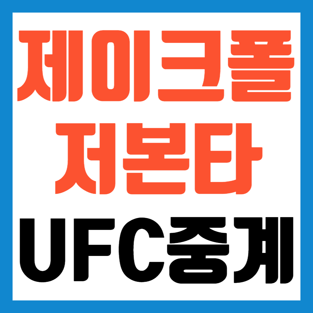 제이크폴 저본타 중계 UFC 경기 11월 14일