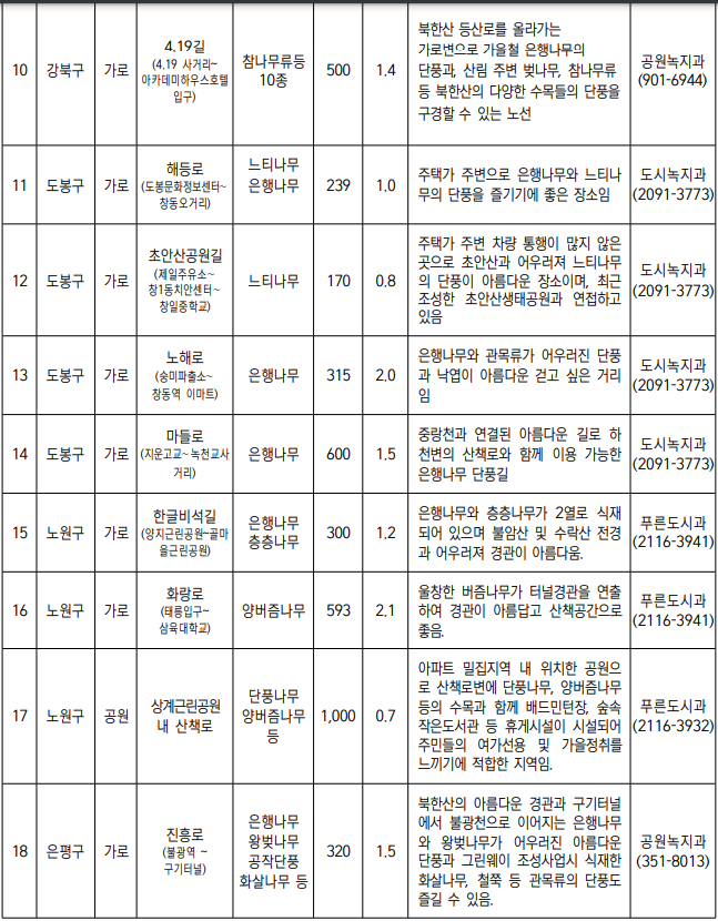 서울 단풍길 99선 소개