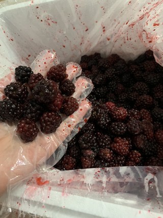 복분자 하루 섭취량 및 먹는 법