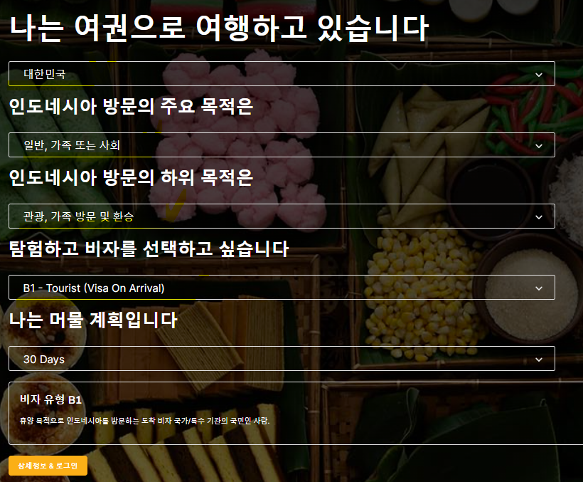 발리 비자 신청 방법 총정리 (비용, 입력정보, 준비사항)(출처-홈페이지)