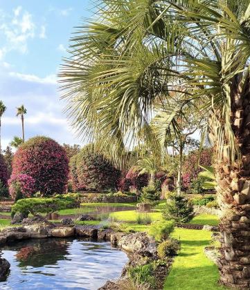 제주 겨울 여행지 동백꽃 명소 추천