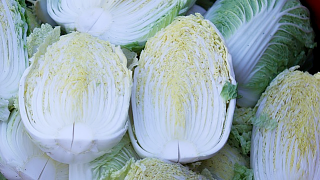 평창 고랭지 김장축제&amp;#44;예약 방법