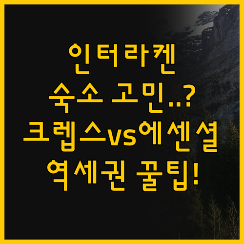 인터라켄 숙소 고민 끝 역세권 호텔 ..