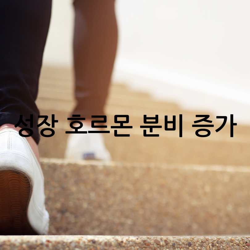 공복 운동 효과 및 공복 운동 방법