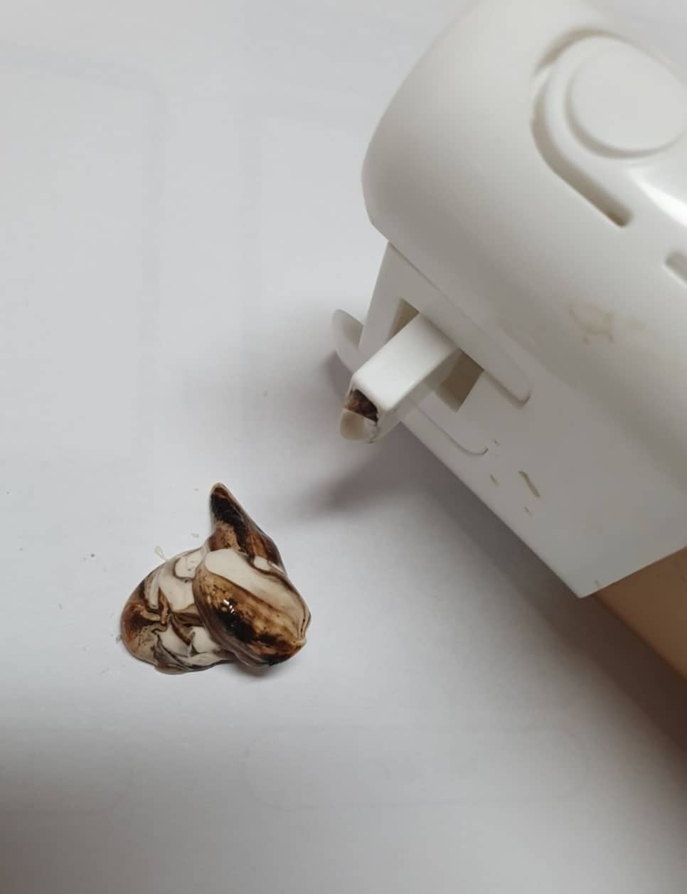 미장센 셀프 염색