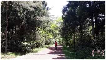 제주 오름 트레킹 코스 초보 난이도 뷰맛집 주차 정보 정리_8