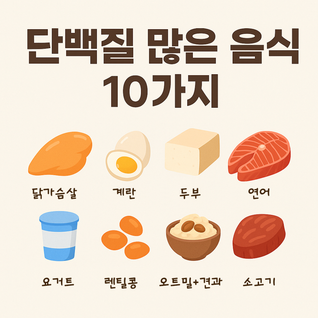 단백질 많은 음식 종류 추천