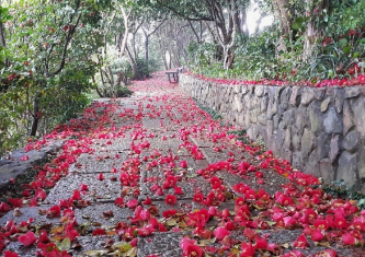 통영 가볼만한곳 BEST 10