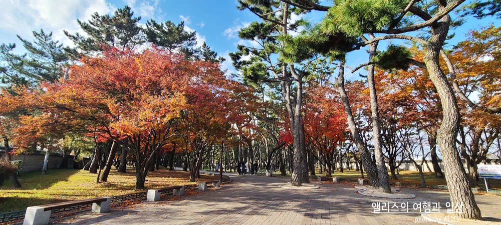 경주 한복입고 사진찍기 좋은 예쁜 장소 BEST 10 대릉원