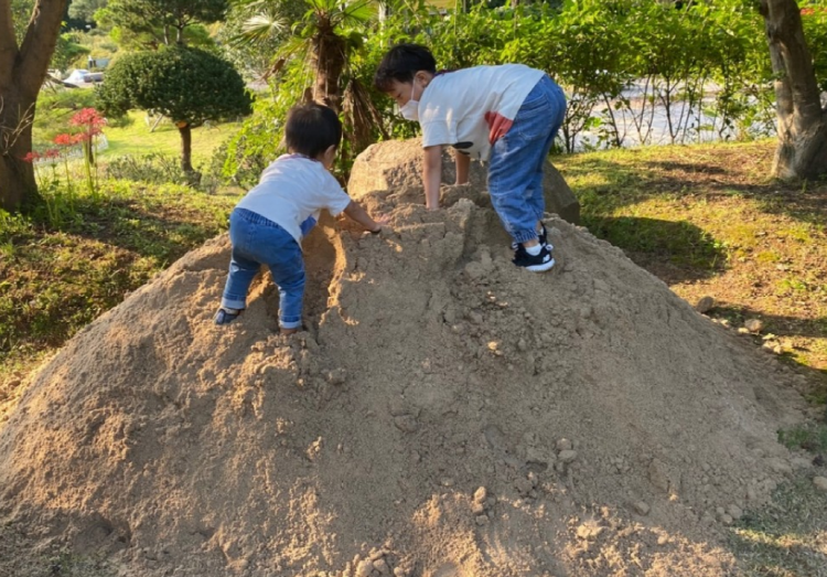 장흥 하늘빛수목원