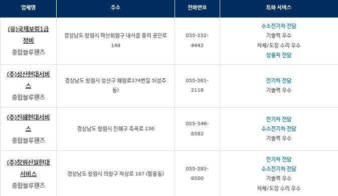 블루핸즈 가맹점 검색 - 특화서비스 확인