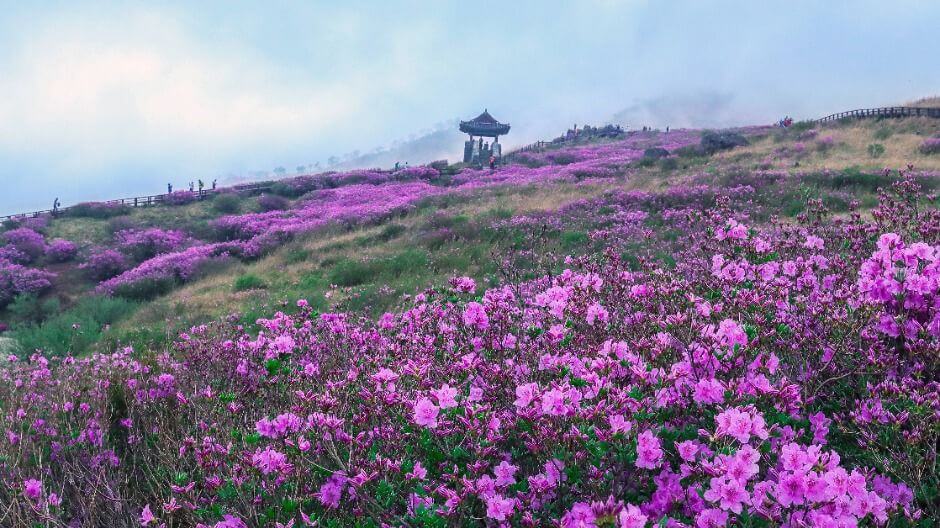 산청 가볼만한곳 베스트 10