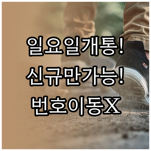 일요일 알뜰폰 개통 방법 번호이동 불..