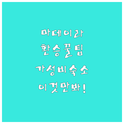 포르투갈 마데이라 여행 리스본 공항 ..