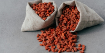 구기자 효능 부작용