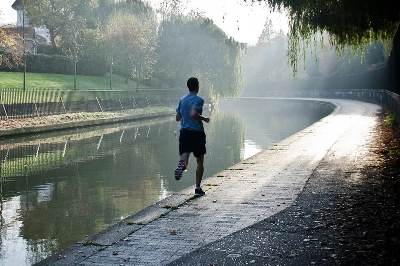 코엔자임 큐텐의 효능