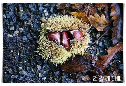 밤 17