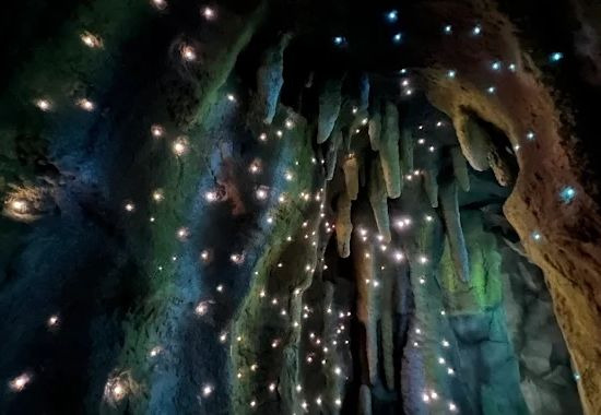 섬진강기차마을 드림랜드