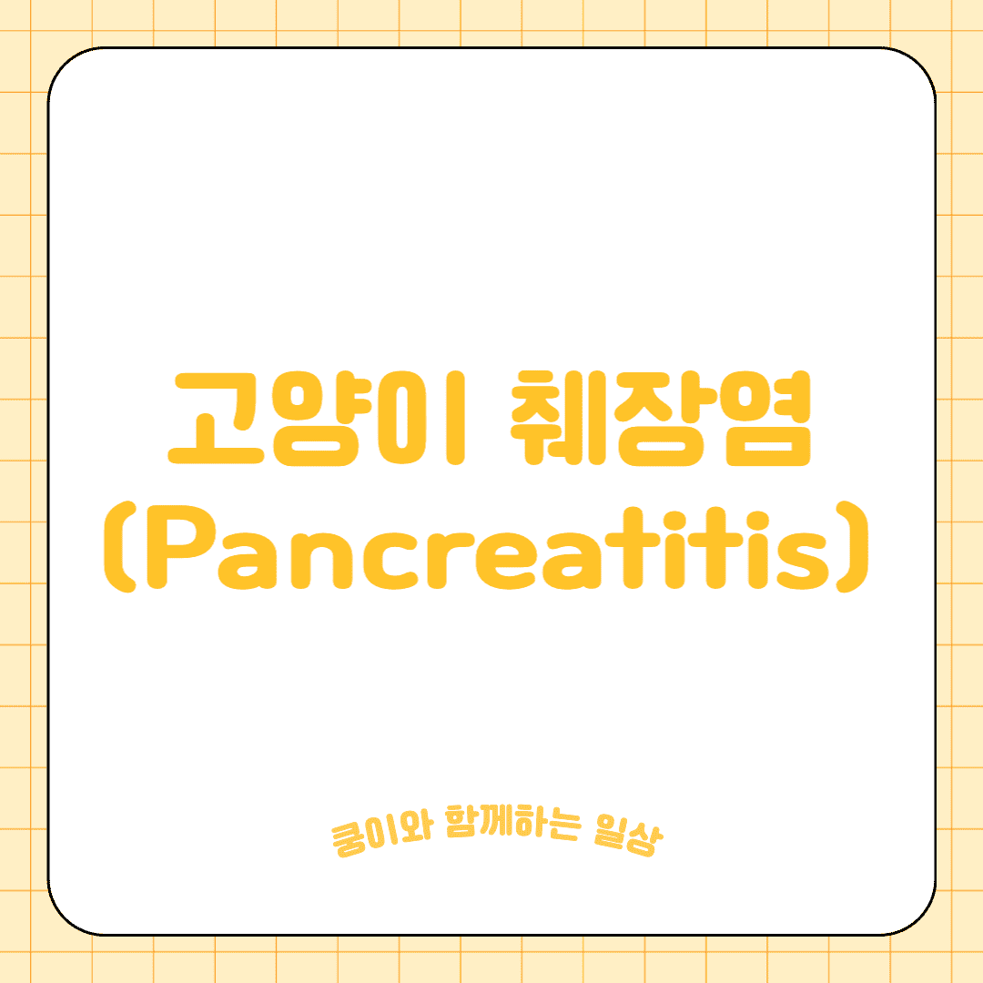고양이 췌장염(Pancreatitis)