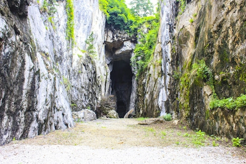 충남 논산 반야사