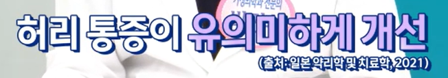 프로테오글리칸