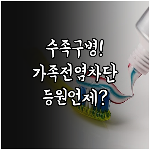 수족구병 가족 간 전염 차단 방법 및..