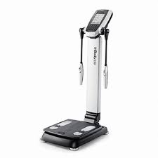 체지방률 정상범위