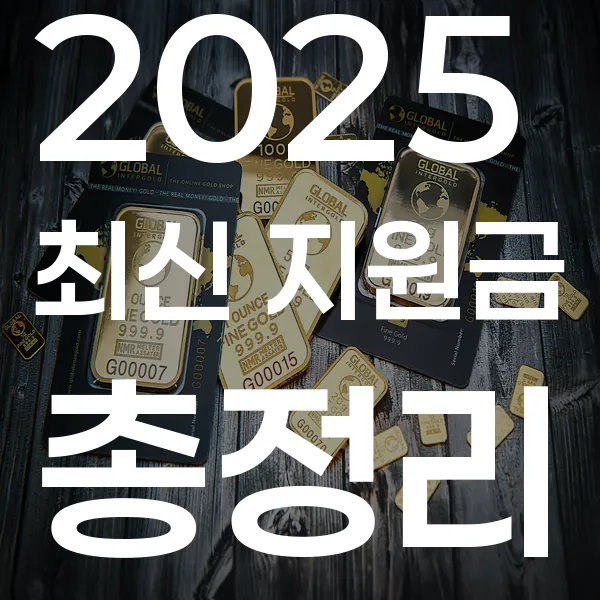 2025 최신 지원금 총정리