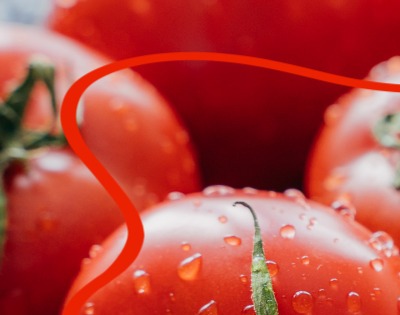 지방간에 좋은 음식 10