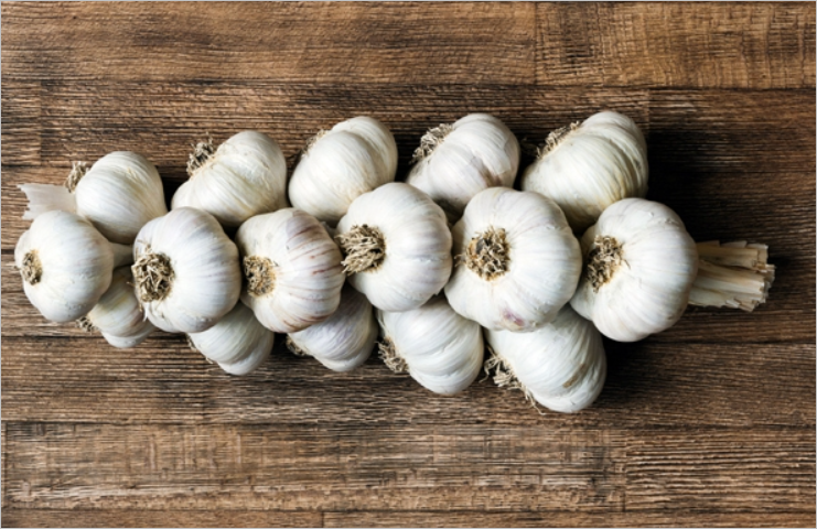 아르기닌 효능! 건강을 위한 필수 아미노산의 모든 것 