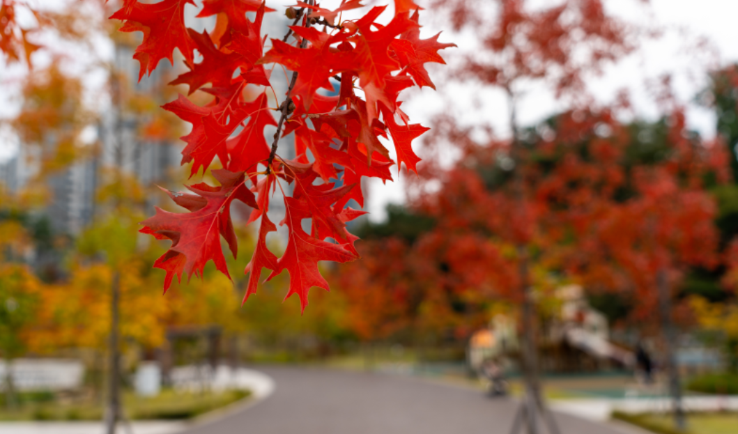 부산