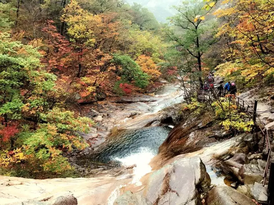 2024 설악산 단풍축제: 가을의 아름다움을 만끽하는 방법 🍂