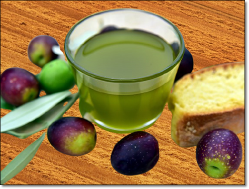 지방질 많은음식