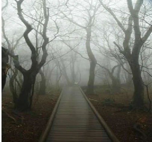 서귀포자연휴양림