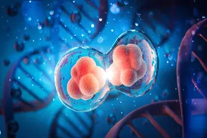 줄기세포-무릎수술-치료법