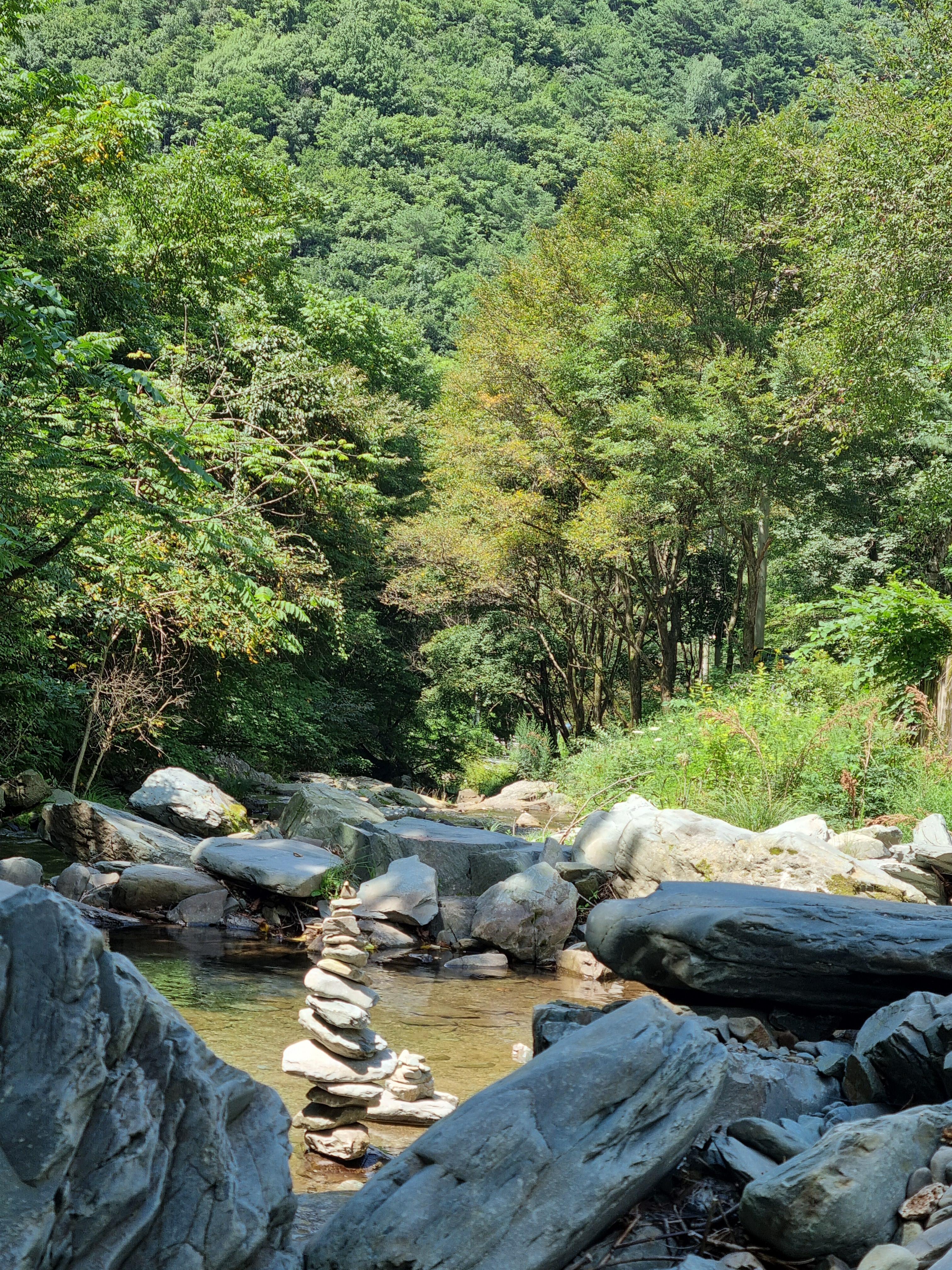 평창 계곡 경치