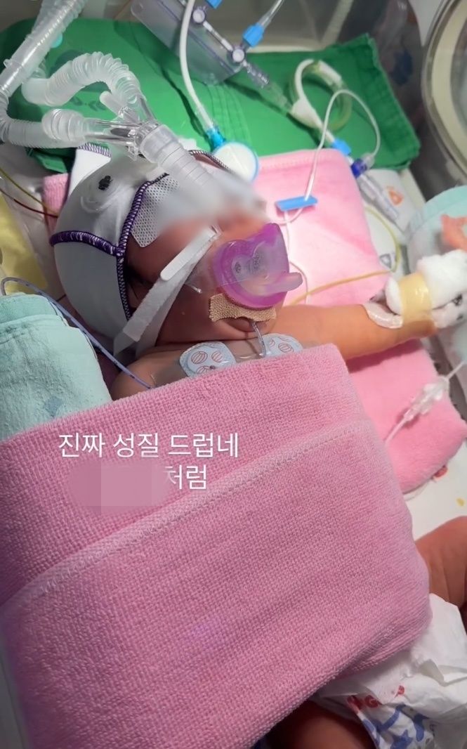 대구가톨릭병원 간호사 미숙아 학대 정황 : 병원명·가해자 정보·SNS 게시글 정리